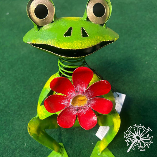 Frosch mit Blume